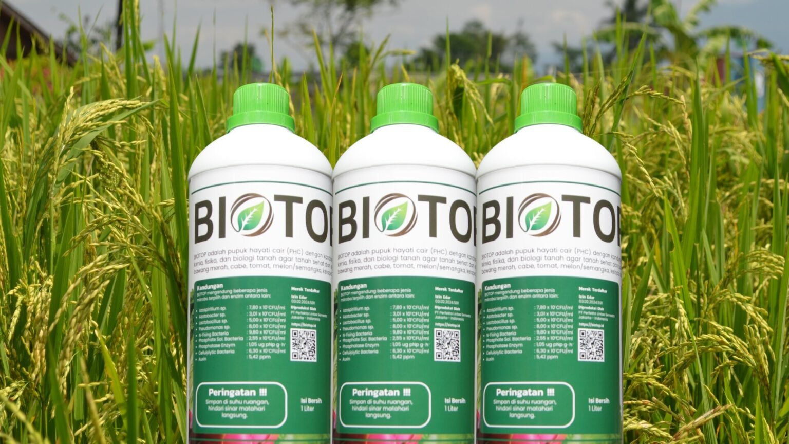Pupuk hayati BIOTOP pupuk tanah terbaik
