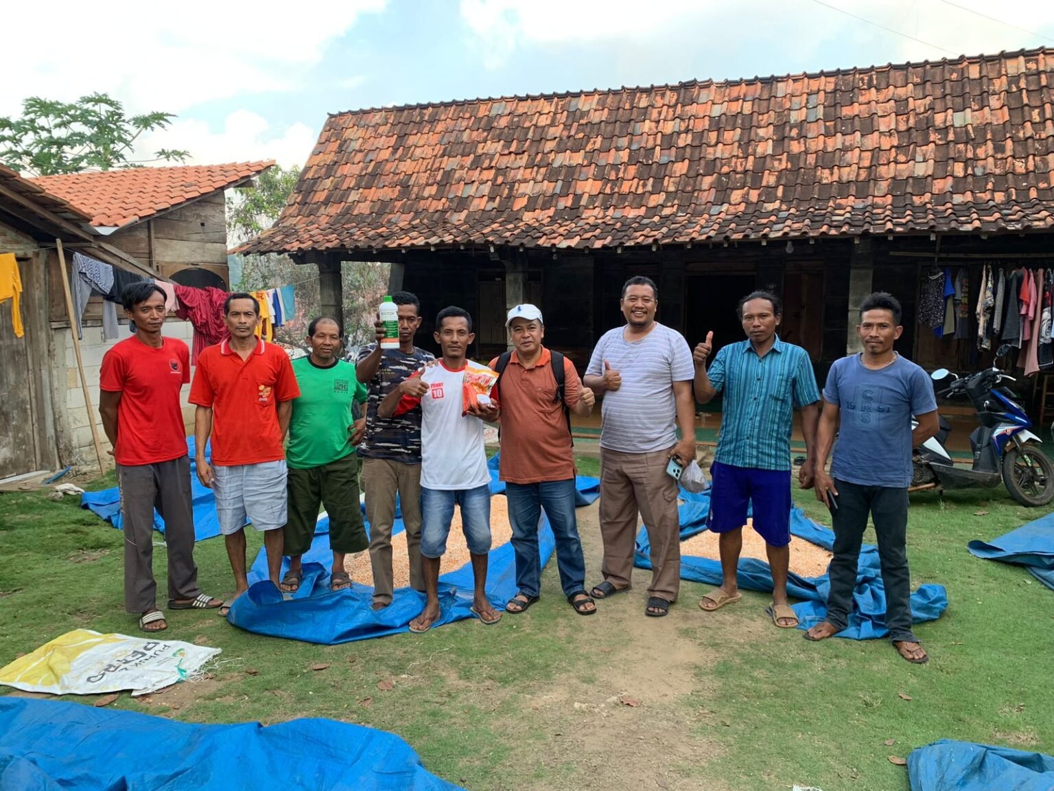 Pakai Pupuk Hayati BIOTOP petani Grobogan sukses tanam jagung.