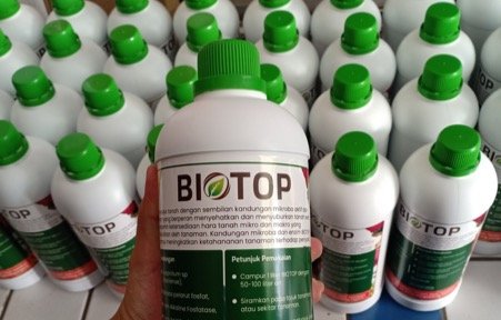 Pupuk hayati BIOTOP cocok untuk ketahanan pangan dan energi.