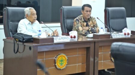 Ketua Umum Perpadi Sutarto Alimoesa