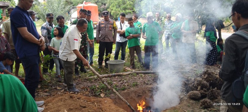 Selain Suburkan Tanah, Biochar Tingkatkan Produksi Sawit biochar dari tankos sawit untuk kurangi pupuk kimia