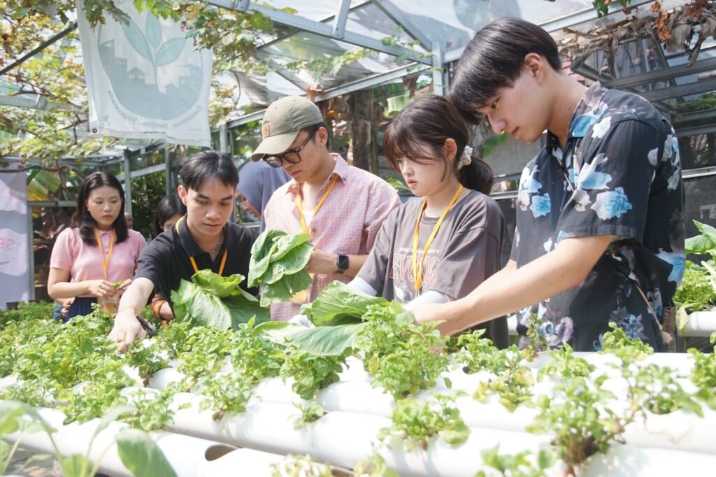 Urban Farming Mampu Menurunkan Suhu di Perkotaan urban farming menurunkan suhu di kota